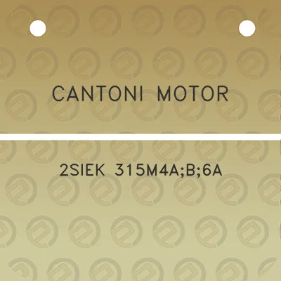 cantoni-motor-2siek-315m4ab6a