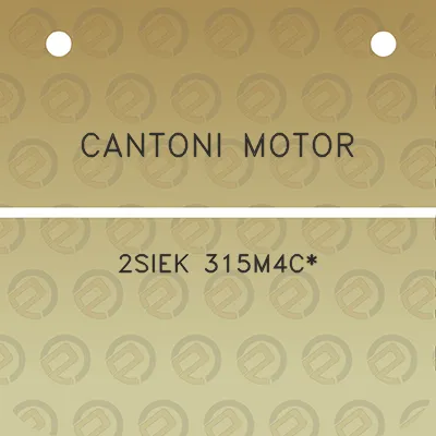 cantoni-motor-2siek-315m4c