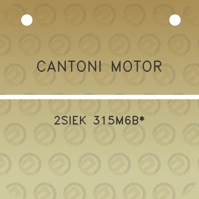 cantoni-motor-2siek-315m6b