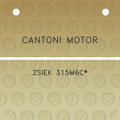 cantoni-motor-2siek-315m6c