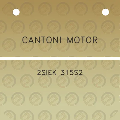 cantoni-motor-2siek-315s2