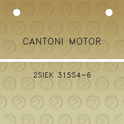 cantoni-motor-2siek-315s4-6