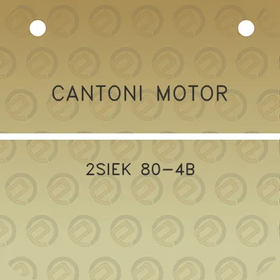 cantoni-motor-2siek-80-4b