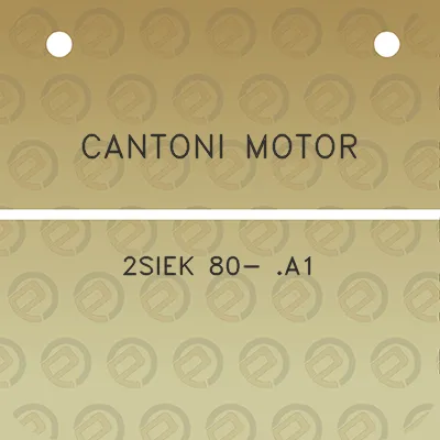 cantoni-motor-2siek-80-a1