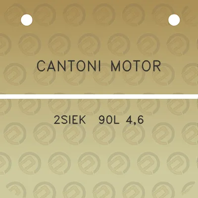 cantoni-motor-2siek-90l-46