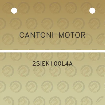 cantoni-motor-2siek100l4a