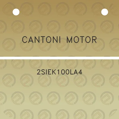 cantoni-motor-2siek100la4