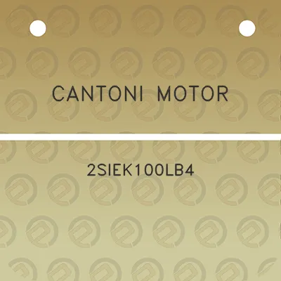 cantoni-motor-2siek100lb4