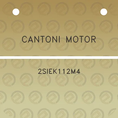 cantoni-motor-2siek112m4