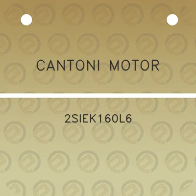 cantoni-motor-2siek160l6