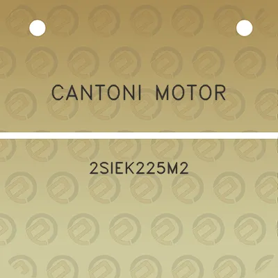 cantoni-motor-2siek225m2