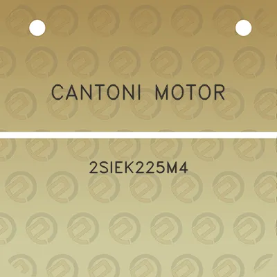 cantoni-motor-2siek225m4