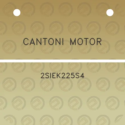 cantoni-motor-2siek225s4