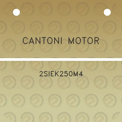 cantoni-motor-2siek250m4