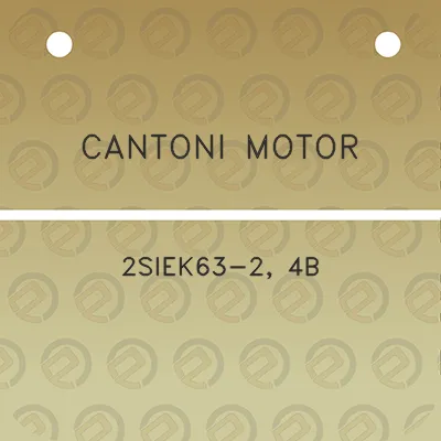 cantoni-motor-2siek63-2-4b