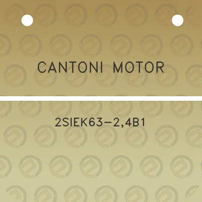 cantoni-motor-2siek63-24b1