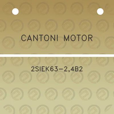 cantoni-motor-2siek63-24b2