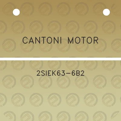 cantoni-motor-2siek63-6b2