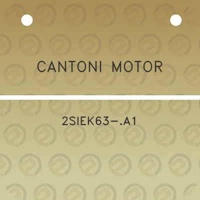 cantoni-motor-2siek63-a1