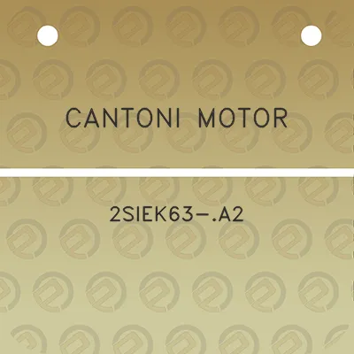 cantoni-motor-2siek63-a2