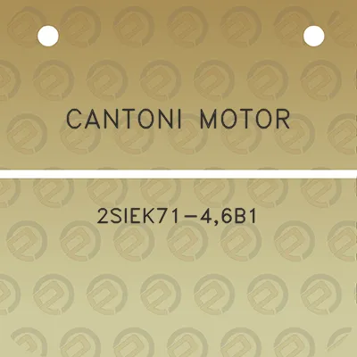 cantoni-motor-2siek71-46b1