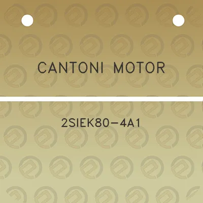 cantoni-motor-2siek80-4a1