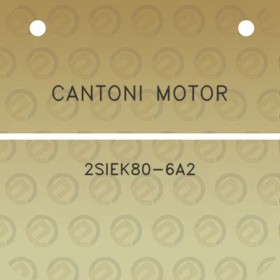 cantoni-motor-2siek80-6a2