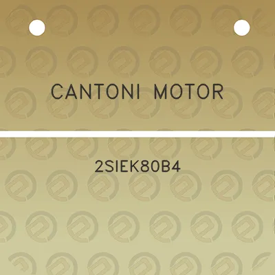 cantoni-motor-2siek80b4