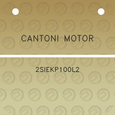 cantoni-motor-2siekp100l2