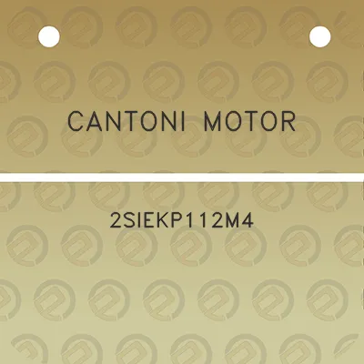 cantoni-motor-2siekp112m4