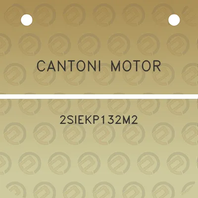 cantoni-motor-2siekp132m2