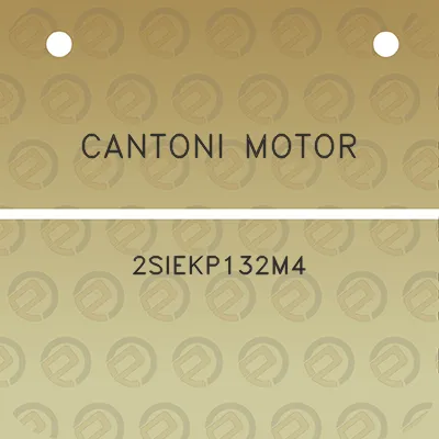 cantoni-motor-2siekp132m4