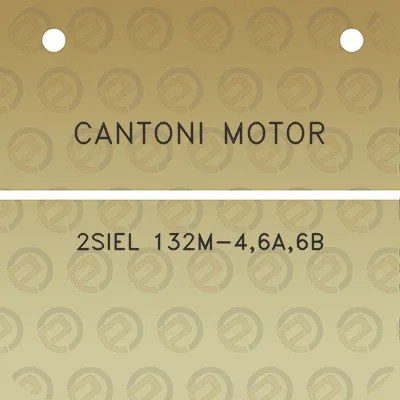 cantoni-motor-2siel-132m-46a6b