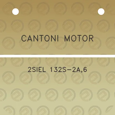 cantoni-motor-2siel-132s-2a6