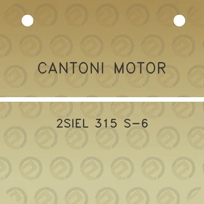 cantoni-motor-2siel-315-s-6