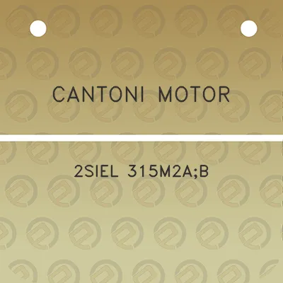 cantoni-motor-2siel-315m2ab