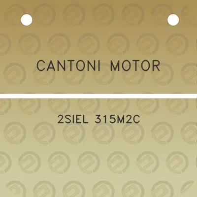 cantoni-motor-2siel-315m2c