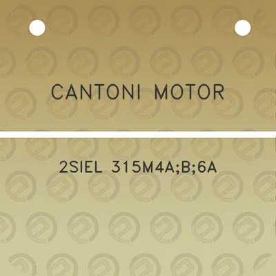 cantoni-motor-2siel-315m4ab6a