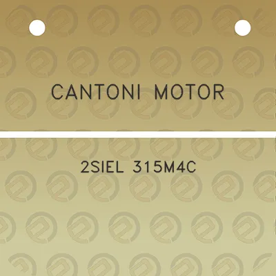 cantoni-motor-2siel-315m4c