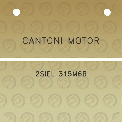 cantoni-motor-2siel-315m6b