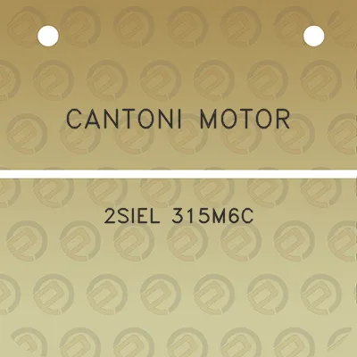 cantoni-motor-2siel-315m6c