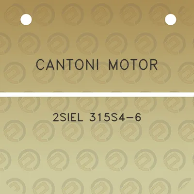 cantoni-motor-2siel-315s4-6