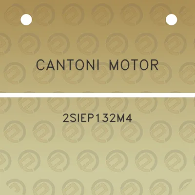 cantoni-motor-2siep132m4