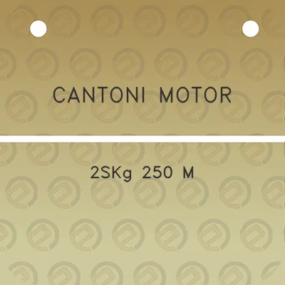 cantoni-motor-2skg-250-m