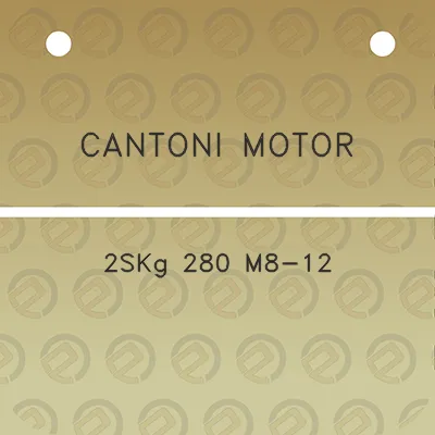 cantoni-motor-2skg-280-m8-12