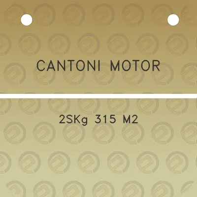 cantoni-motor-2skg-315-m2