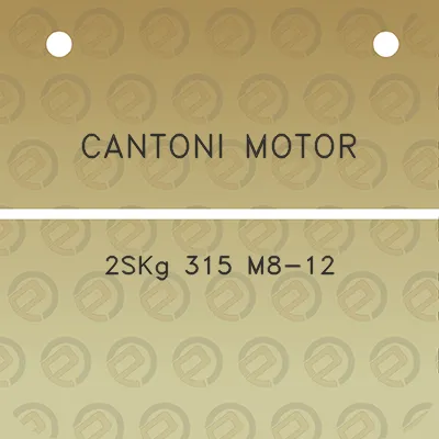 cantoni-motor-2skg-315-m8-12