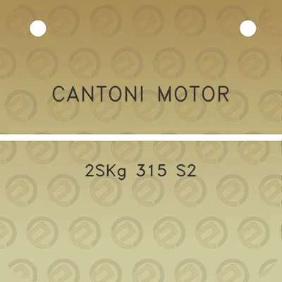 cantoni-motor-2skg-315-s2