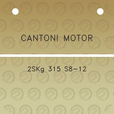 cantoni-motor-2skg-315-s8-12