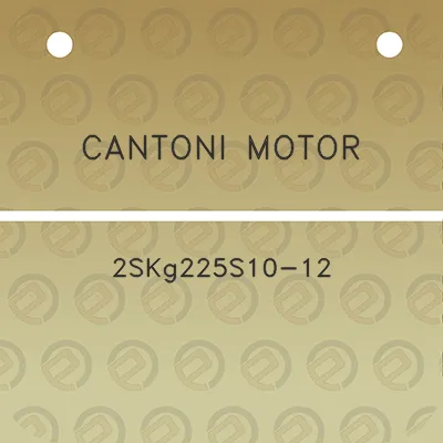 cantoni-motor-2skg225s10-12